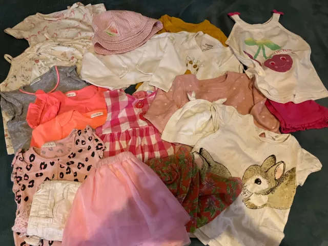 Baby Girls 9-12 Months Clothes Bundle