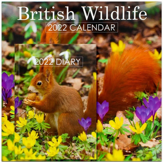 british-wildlife-2022-calendar-and-diary-set-1-00-picclick-uk