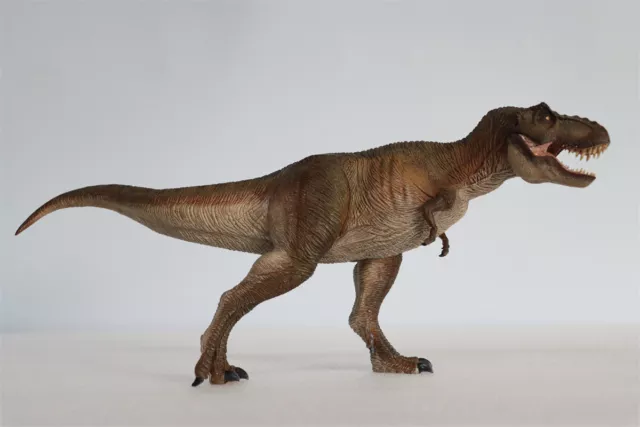 Nanmu Tyrannosaurus Rex Figure Alpha T-rex Dinosaur Toys Trex Animal Collector
