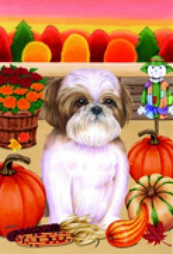Autumn (TP) Garden Flag - Brown and White Shih Tzu 67175