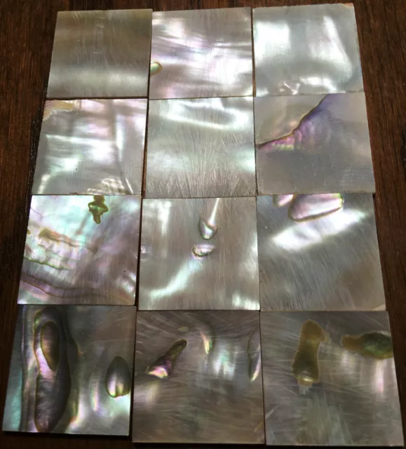 30.0 grams (12pcs) Abalone Fretboard Inlay NOS Gibson Kalamazoo Factory Lot-11 30.0 grams (12pcs) Abalone Fretboard Inlay NOS Gibson Kalamazoo Factory Lot-11