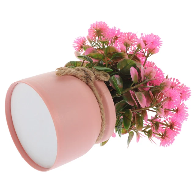 Winomo 4 Piante Grasse Artificiali In Vaso – Mini Bonsai Finti Verdi Per Decorazione Casa, Ufficio, Scrivania