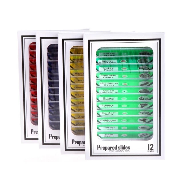 Microscope  Slide Biological Prepared Microscope Digital  Slide