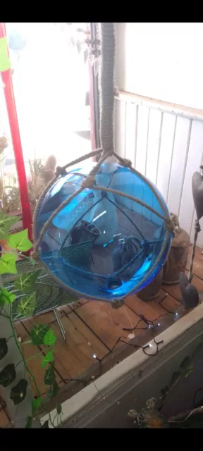Blue Glass Fishing Floats 25 Cm Ball 50 Cm Rope