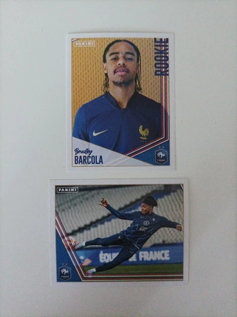 PANINI FAMILY BOITE BOX DISPLAY 320 POCHETTES PACKETS RUGBY 2023 1280