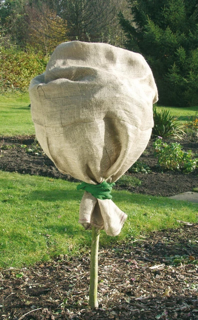 Gardissimo 461546 Jute-Schutzsack Natur (60 x 80 cm) (Winterschutz)