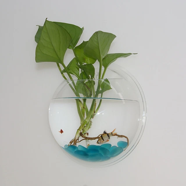 Wall Mounted Hanging Fish Bowl Aquarium Tank Beta Goldfish Plant Home Art Decor