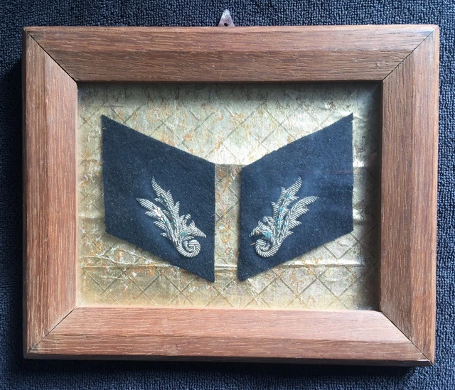 PAIRE INSIGNES MILITAIRES français brodés argent MILITARIA EUR 45,00 ...