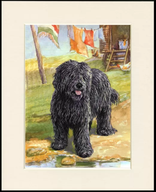 Hungarian Puli Lovely Dog Print Mounted Ready To Frame