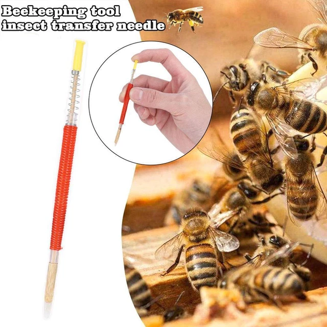 Bee Tools Move The Needle Horn Insect Pest Shift Queen Larvae Worm Needle/