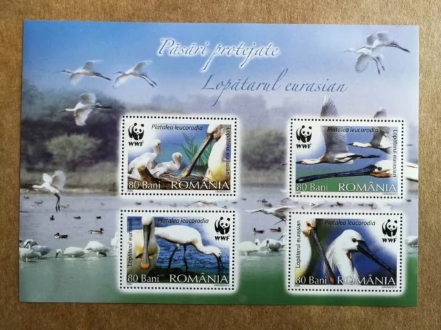 Rumania 2006. Aves. Nuevo MNH