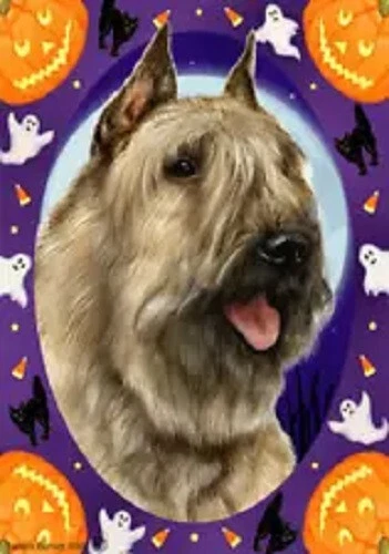 Halloween Garden Flag - Fawn Bouvier des Flandres 124131