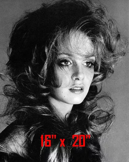 Twiggy~Hair Salon~Spa~Beauty Salon~Photo~Decor~Stylist~Poster~16"x20"
