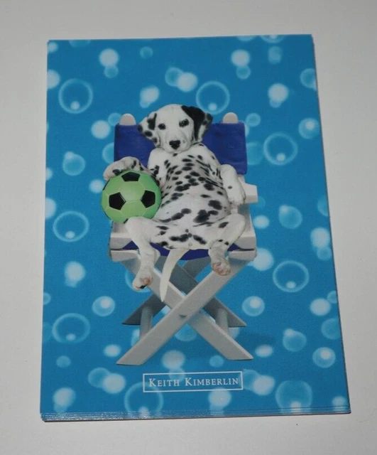 Lot of 8 Chien Dalmatian Humorous Postcard Headquarters 10x15cm Postcard