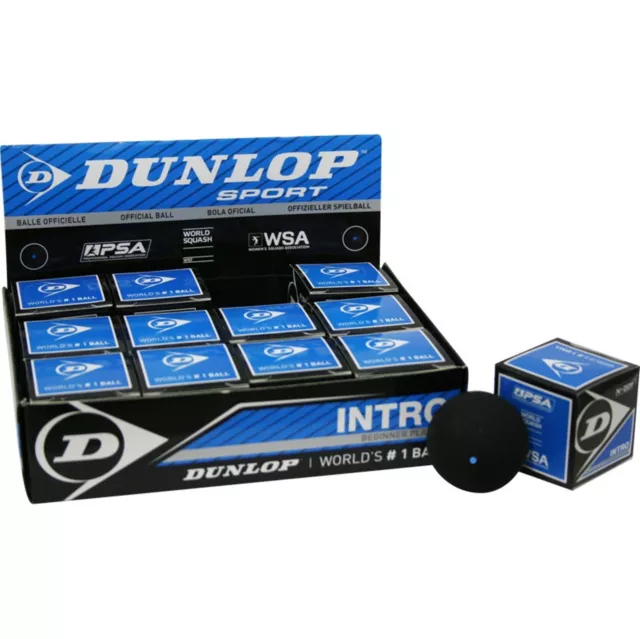 Box mit 12 Stück Dunlop Squashbälle Squashball INTRO für Anfänger 1 blauer Punkt