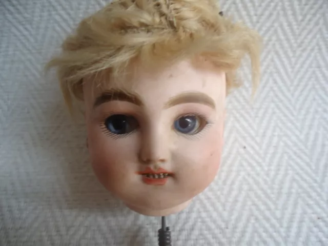 TETE DE POUP2E Ancienne Porcelaine EUR 383 00 PicClick FR