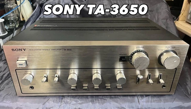 581015_4