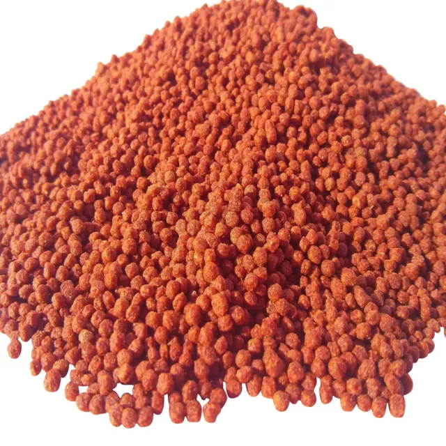 2mm Red Parrot Intense Coloring Floating Pellets for Discus, Cichlids