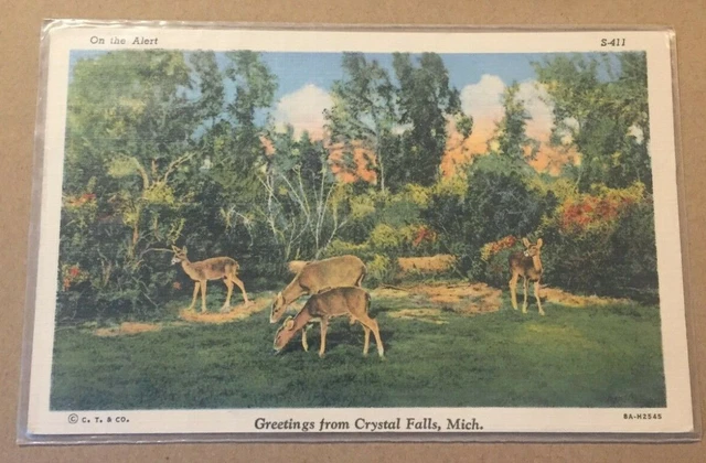 Vintage Penny Linen Postcard Unused Greetings From Crystal Falls, Mich.