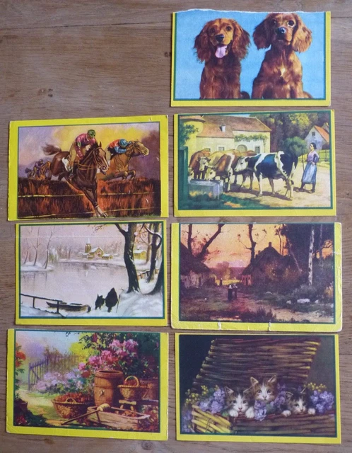 Buvard - Luc - Biscottes - Chat, Chien, Vache, Chevaux, Paysage Neige - Tableaux