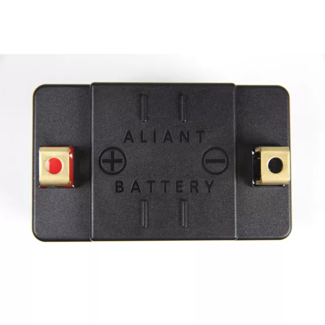 Aliant Lithium-Batterie YLP10 3