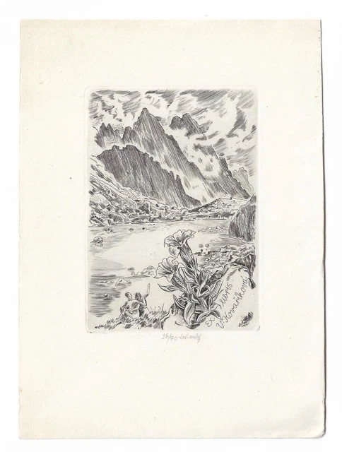 JAROSLAV LUKAVSKY: Exlibris für V. Kovarikova, Bergsee