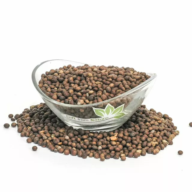 BITTER VETCH Seeds Dried ORGANIC Bulk Herb,Vicia ervilia Semens