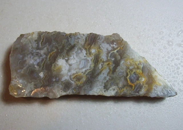 Natural Old Stock Oregon Plume Agate-Rough/Slab/Cab/Wrap-1488