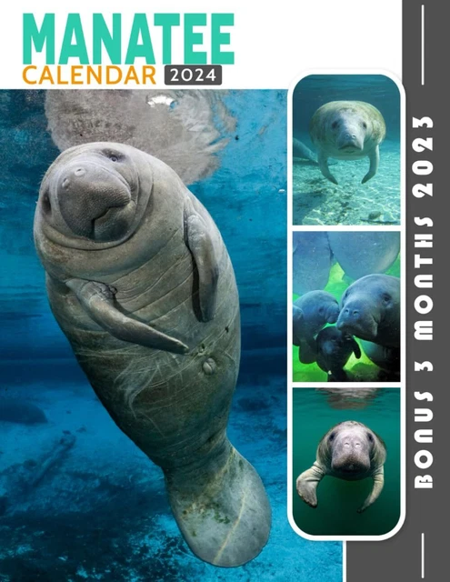 MANATEE CALENDAR 2024 Jan 2024 to Dec 2024 Bonus 3 Months Last 2023 15 ...