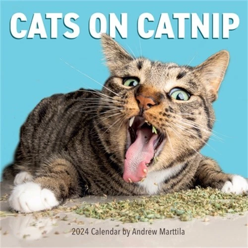 CATS ON CATNIP Wall Calendar 2024: A Year of Cats Living the High Life