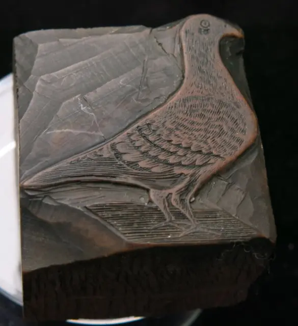 Antique Victorian Carved Wood Pigeon Letterpress Printing Hardwood Block 33 mm
