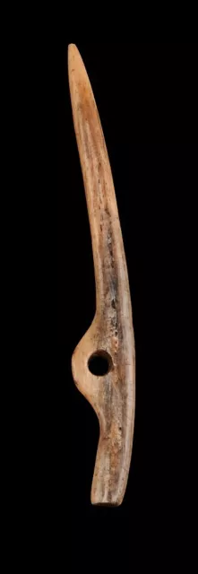 European Mesolithic or Neolithic Tool, 6000-3000 B.C.