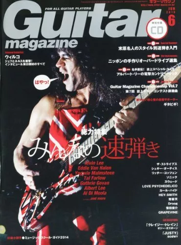 Used Guitar Magazine 2013.Vol 06 Music Japanese Magazine form JP