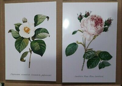 Lotto N.4 Cartoline Immagini Floreali Flowers Nuove Con Fiori Colori Collezione