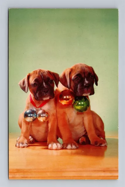 Two Cute Boxer Puppies Wearing Christmas Ornaments Postcard