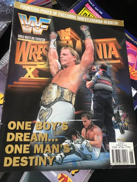 WWF WWE Magazine JUNE 1996 SHAWN MICHAELS Wrestlemania Cover + Sunny Poster