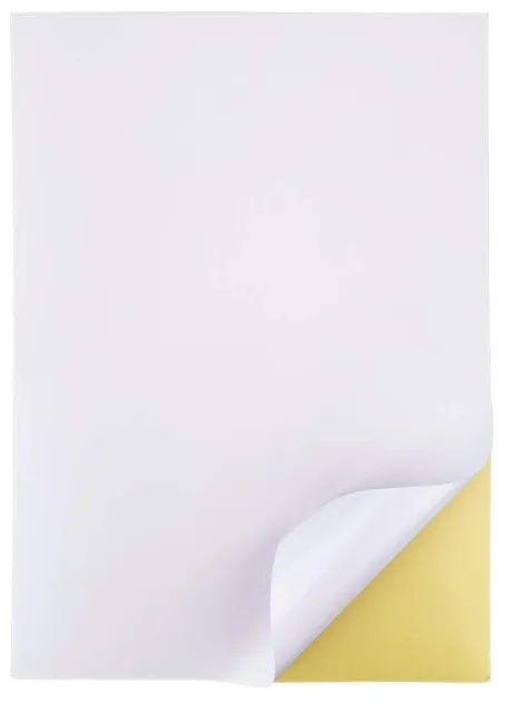 Papier cadeau fond mat vert pastel, feuilles blanches irisées, 0,70 x 25m