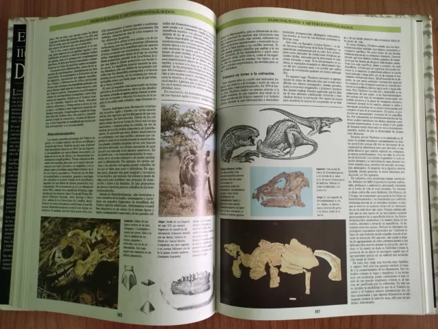 Enciclopedia ilustrada de Dinosaurios 3