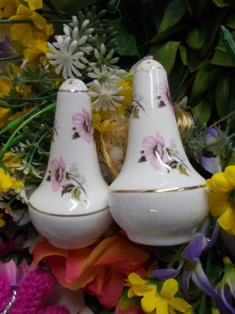 Lovely Salt And Pepper Shakers - Sandford England Fine Bone China Floral # 192