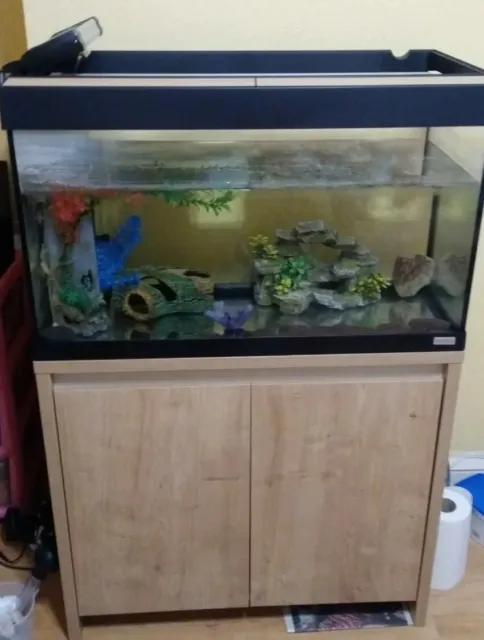 Fish Tank Aquarium Fluval Roma 125 Litres Oak Pets At Home Plus Extras