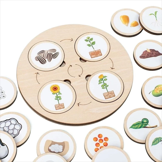 LIFE CYCLE BOARD Wooden Montessori Kit Biology Science Education Toys £