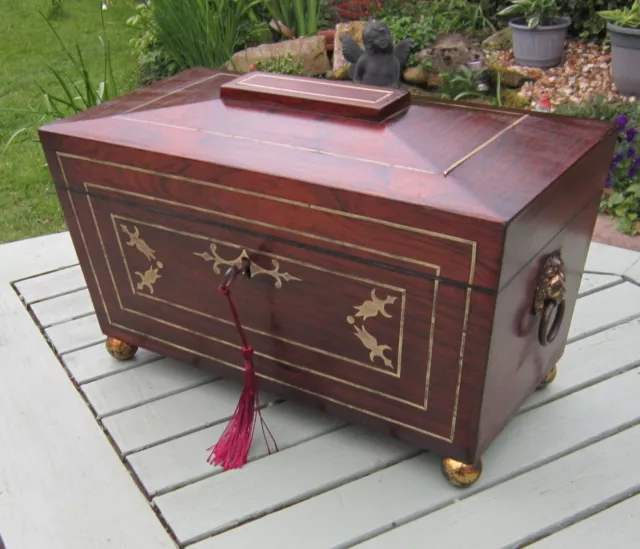 Quality Regency Rosewood & Brass Inlaid Tea Caddy, Lion Mask Handles, Lock & Key