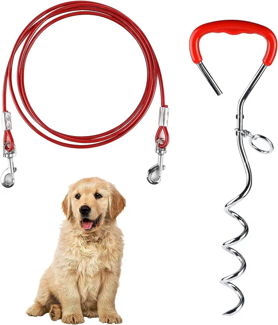 EFUTURETIME Picchetto a Spirale per Guinzaglio del Cane in Acciaio...