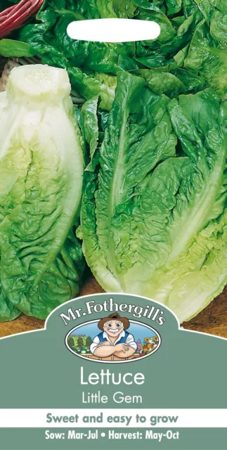 Mr Fothergills - Pictorial Packet - Vegetable - Lettuce Little Gem - 1250 Seeds