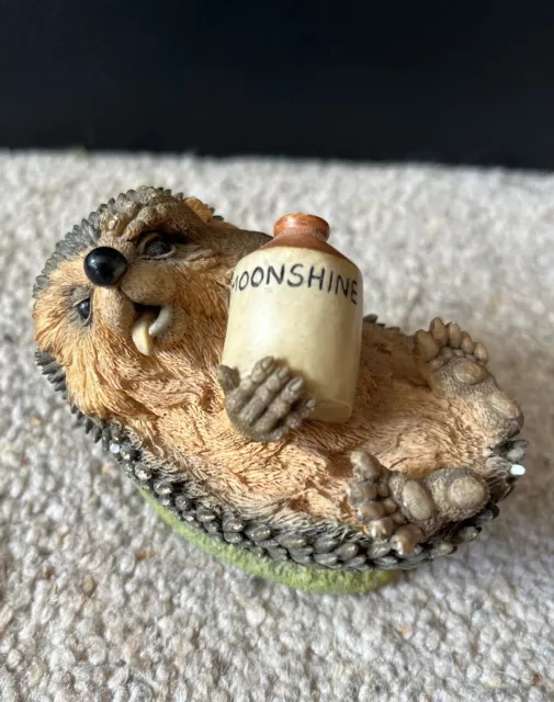 Lovely Country Artists Hedgies Hedgehog "Liszt" With Moonshine Langford