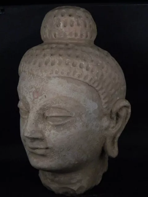 Ancient Large Size Teracotta Buddha Head Gandhara/Gandharan C.300 AD #IK847 2