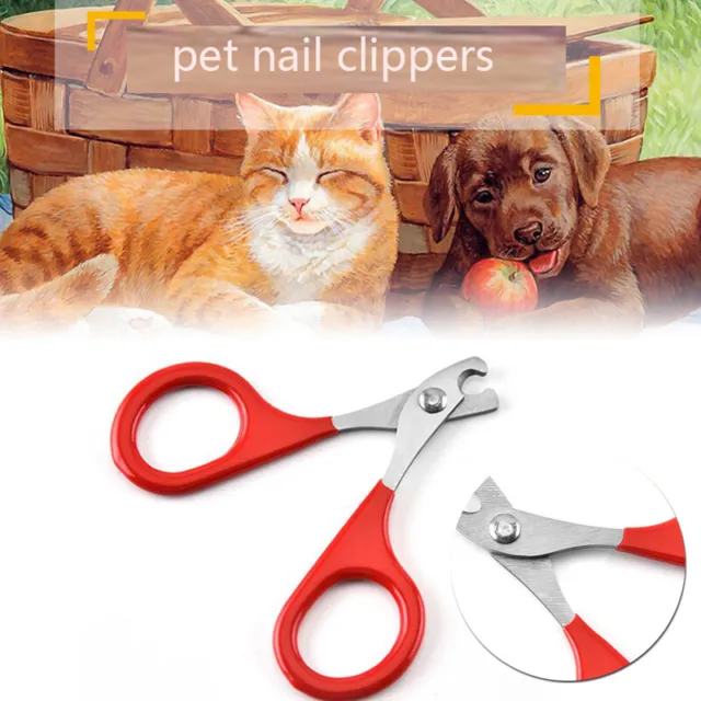 Tagliaforbici cucciolo 1 pz prodotto gatti taglia unghie punta cane toelettatura animali domestici