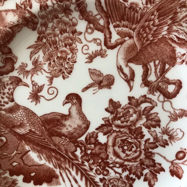 Royal Crown Derby Red Aves 22cm   Salad Plate-first Quality