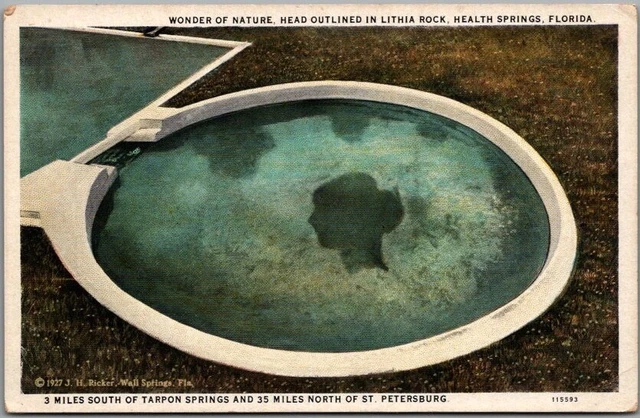 1930s Florida Greetings Postcard "Head Outlined in Lithia Rock, Health Springs"