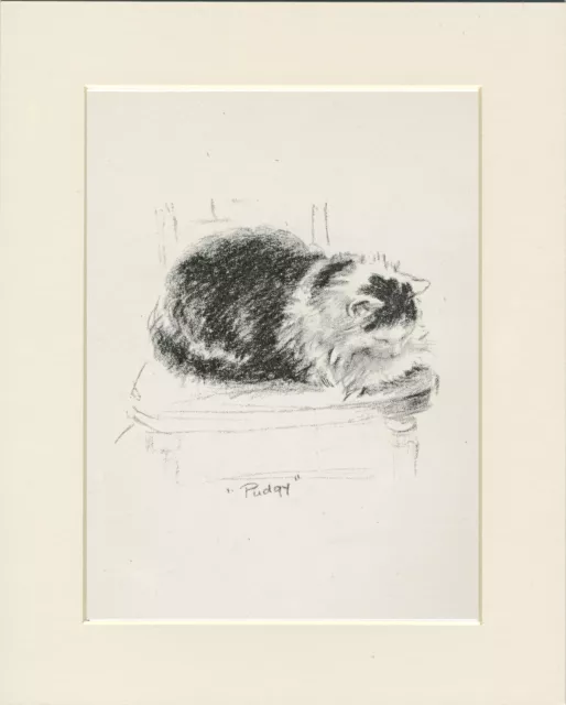 Cat On A Chair Lovely Original Old 1946 Cat Art Print By Lucy Dawson  Mounted